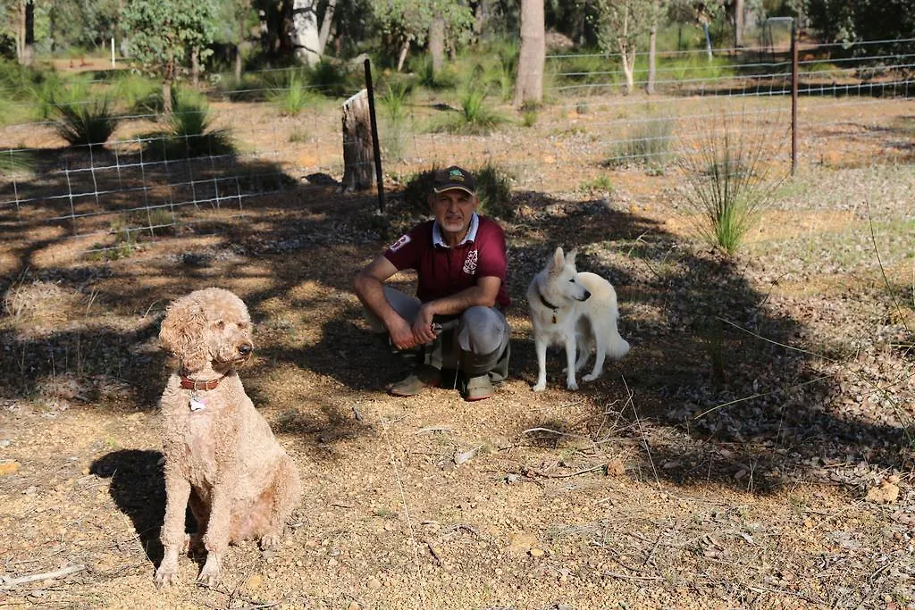 Gospodarstwo agroturystyczne Willa Brigadoon Retreat Perth