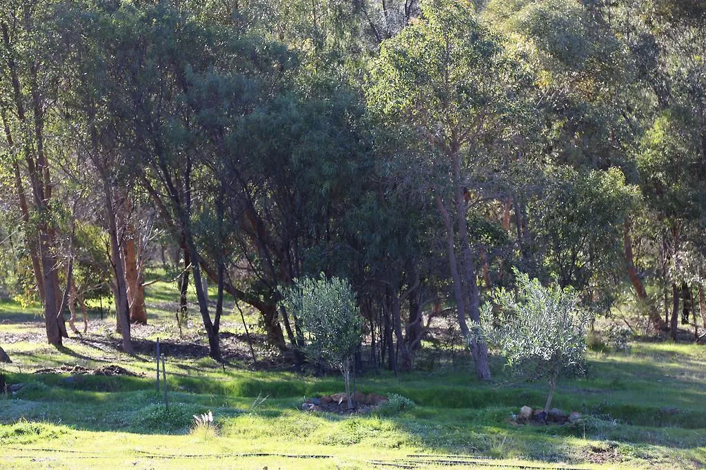 Gospodarstwo agroturystyczne Willa Brigadoon Retreat Perth Australia