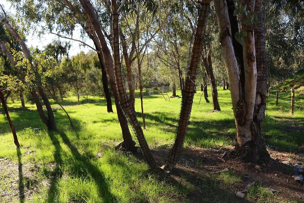 Willa Brigadoon Retreat Perth Gospodarstwo agroturystyczne